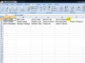 How to Import a Text File into Excel and Change ...