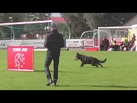 Frost lydighet NM 2015