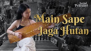Download lagu Main Sape Jaga Hutan | PELESTARI mp3 Download lagu Main Sape Jaga Hutan | PELESTARI mp3