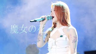 [2024 아시안팝페스티벌 240623] 백예린 - 야간비행 (魔女の花)