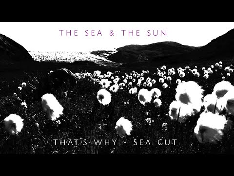 the sea & the sun - That's Why - sea cut - PREVIEW