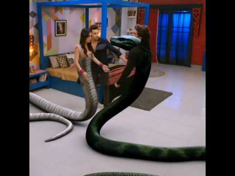 Nagin 6| 🐍🙏 bela VS uvi |#subscribe #trending #viralshort #famous #like #love #nagin #viral #video