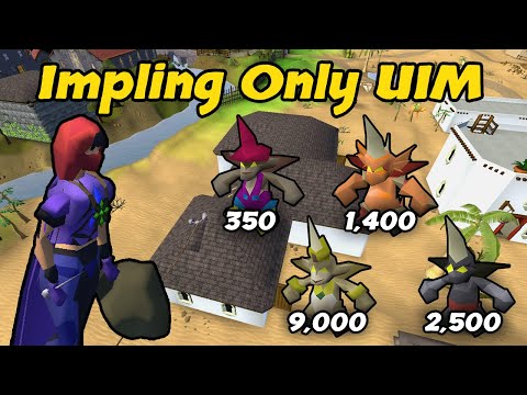 13,250 High Tier Implings For Our Best Method - Impling Only UIM (#41)