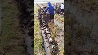 Download lagu cara nyingkal pinggir galengan#sawah #traktor #viralshorts #petani mp3 Download lagu cara nyingkal pinggir galengan#sawah #traktor #viralshorts #petani mp3