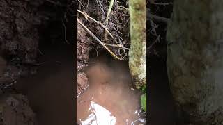 A beautiful sunset and free water in the mountains. #nature #naturelovers #sunset #freewater