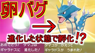 【ポケモン剣盾】進化した状態で生まれる卵バグがヤバすぎる‼卵なのに技も覚える【ポケモンソード・シールド】