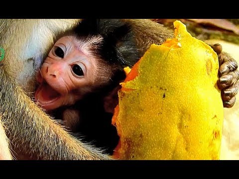 Wow!Baby Alexandra yawning big mouth s0 sleepy after milk full,Welcome Alexandra to Alpha's family