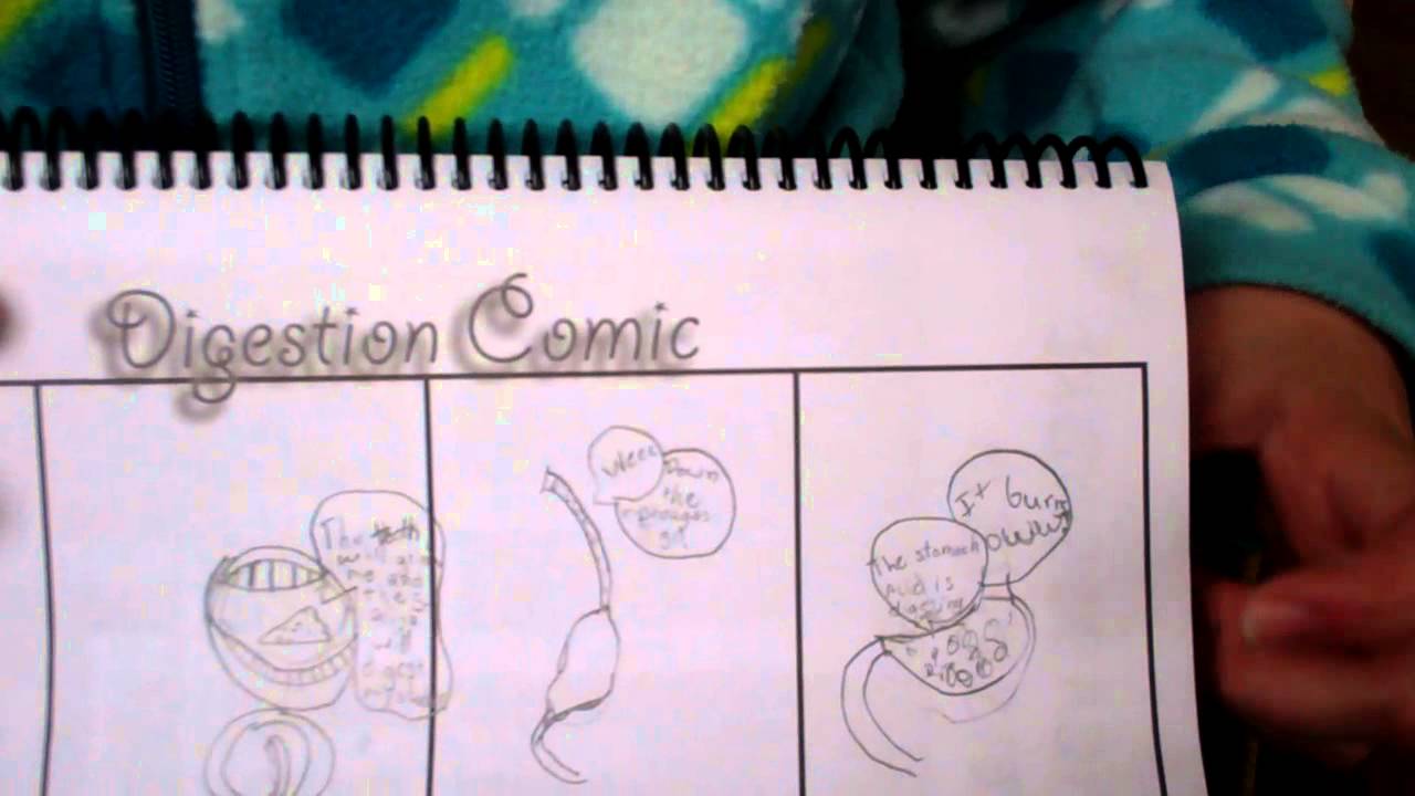 Make a Digestion Comic