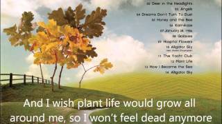 Owl City-Plant Life with lyrics (HQ)