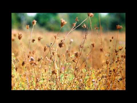 Gal Gjurin -- KO OBRNEŠ NOVO STRAN