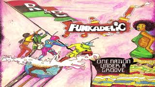 Funkadelic - Promentalshitbackwashpsychosis Enema Squad (The Doodoo Chasers)