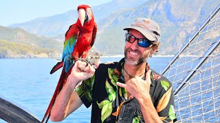 The Life of a Travel Vlogger | 2 Years of Travel to 24 Countries