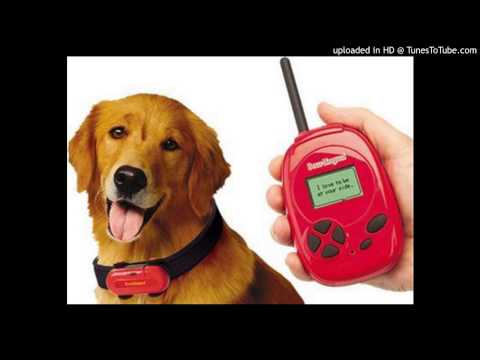 B1_L06_P138_閱讀補充版 (B1_L06_P138_Reading Plus)