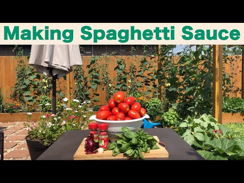How To Make Spaghetti Sauce