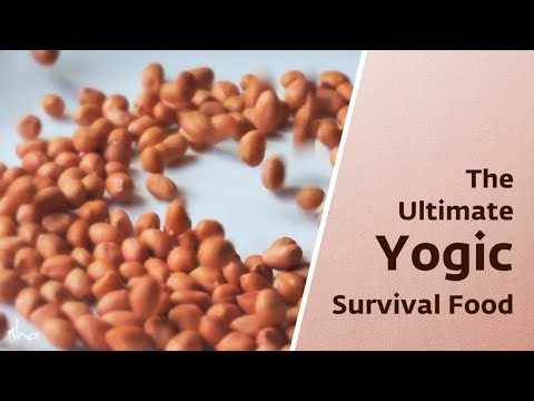 The Ultimate Survival Diet – The Yogic Superfood