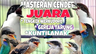 Download lagu Masteran Cendet JUARA Full Tembakan Panjang Kekinian TERLENGKAP || Tengkek buto werkudoro dll mp3 Download lagu Masteran Cendet JUARA Full Tembakan Panjang Kekinian TERLENGKAP || Tengkek buto werkudoro dll mp3