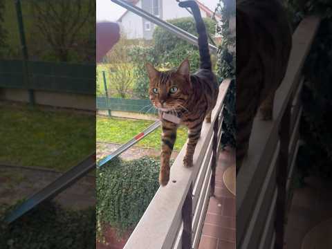 Der Himmel ist schuld..