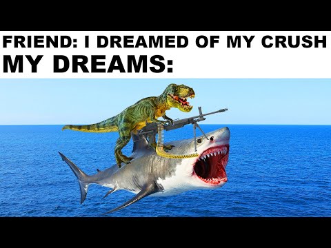 Memes From Your Dreams