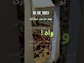 Youme Mazdoor Mubark Happy Labour Day Viral Shortvideo Youmemazdoor Labourday Whatsappstatus