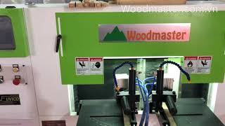 MÁY ĐÁNH MỘNG OVAL DƯƠNG 1 đầu Cnc wood master