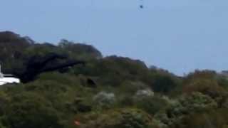 Brighton Kite Festival