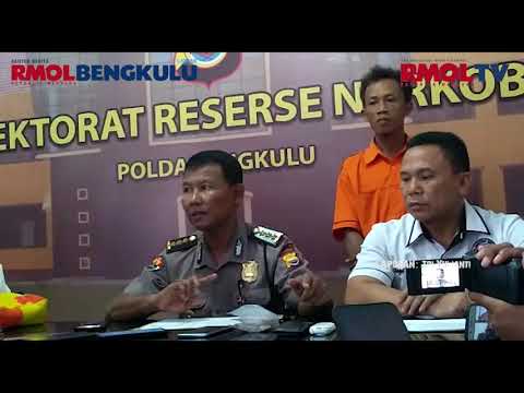 Residivis Narkotika Jenis Ganja Kembali Diamankan Polda Bengkulu