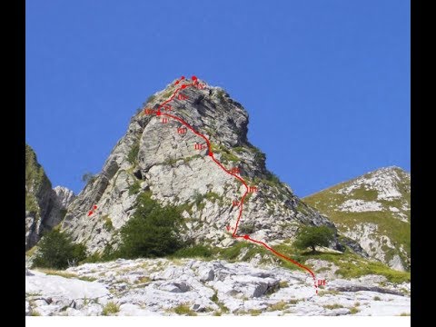 Un rimedio popolare per aumentare gratuitamente Ricette impotenza maschile