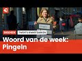 Het Twentse woord van de week: Pingeln!