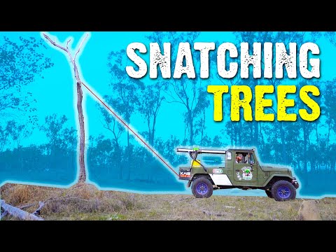 No Chainsaw... No Problem! | 4X4 vs ENTIRE TREE!  - Sick Puppy 4x4