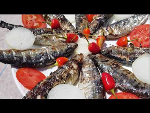 Morocco Street Food | How to cook Moroccan Fish | SARDINE