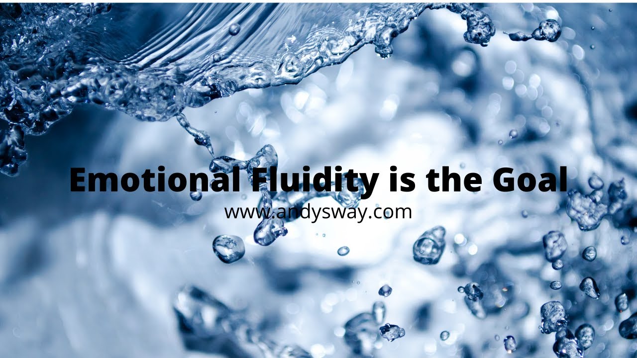 Emotional Fluidity is the Goal