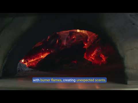 Understanding Oven Gas Smell Issues