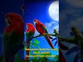 Kaatre En Vaasal Vandhai Whatsapp Status Full Screen A R Rahman Rhythm Movie Arjun Meena