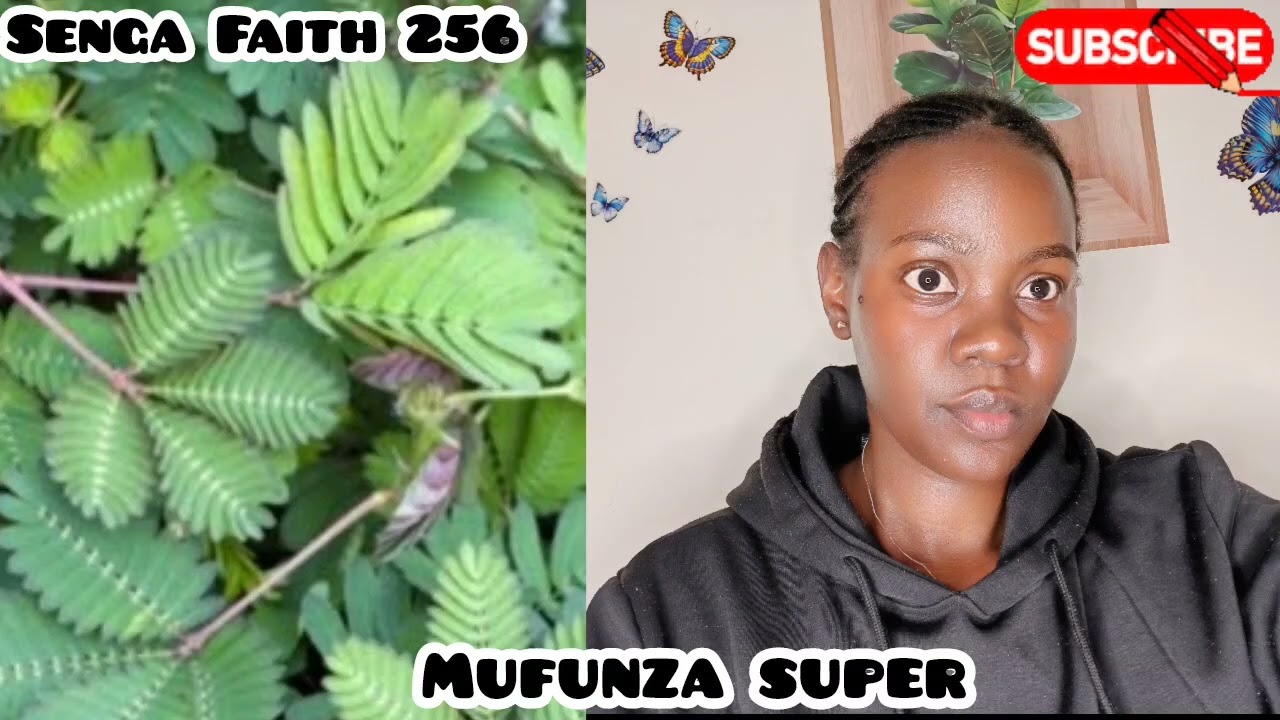 Funza emana owoomera embolo 