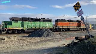 BN green at sumas border.