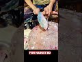 Amazing Fish Cutting Skills Fish Market Shorts Fish Fishcutting