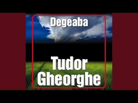 Vin colindatorii, La fereastra cu gutuie