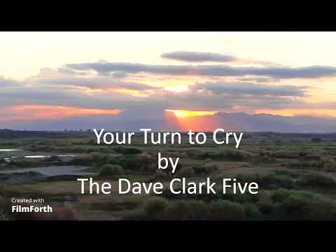 Your Turn To Cry - Dave Clark Five