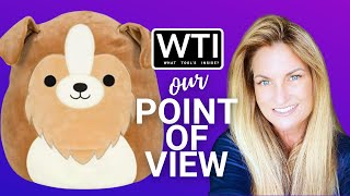 Our Point of View on Squishmallows Andres Sheltie Dog Toy From Amazon