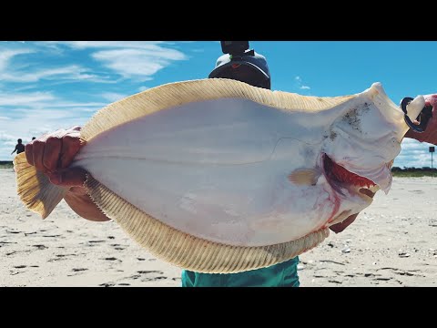 Jigging in Heavy Wind - Fishing for MONSTER FLUKE - Limit +