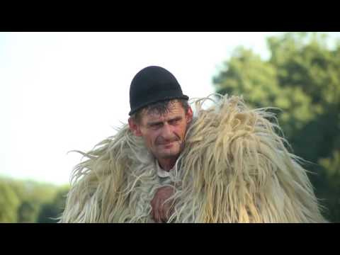 Florin si Vasilica Joldea - Instrumentala de Bihor