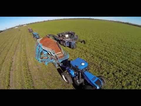 Drone footage of the Crop Shuttle in Carrot Harvest