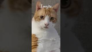 Twas The Night After Christmas 🎄