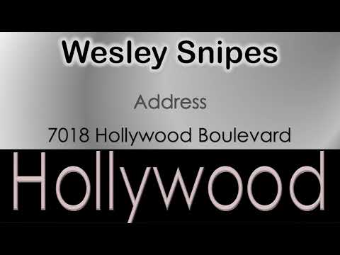 Wesley Snipes   How to pronounce Wesley Snipes Hollywood Actor from 7018 Hollywood Boulevard?