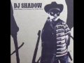 DJ SHADOW - THIS TIME (im gonna try it my way ...
