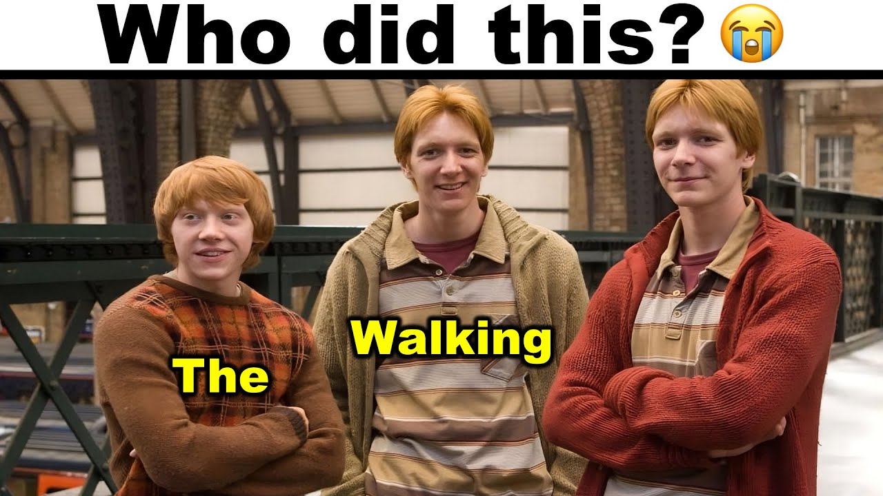 Harry Potter Memes Only True Fans Understand