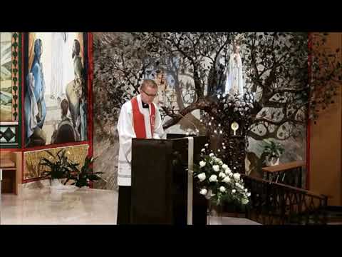 [Szkoła modlitwy #4] List apostolski o różańcu Rosarium Virginis Mariae - część I