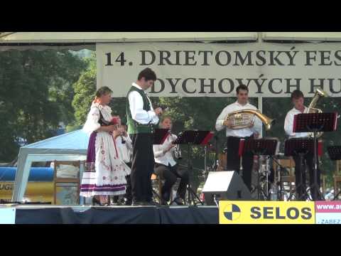 MUZIKANTI z JIŽNÍCH ČECH (CZ) -/- KDE JE ZÁLŠÍ: