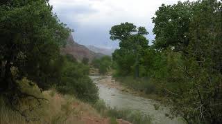 Joan Baez cover - Still Waters at Night - Mary Scheib