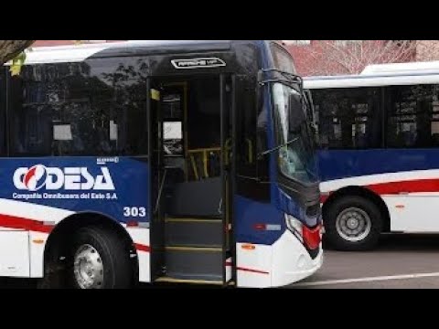 Interior - 95Km/h | Codesa 303 / Caio Apache VIP V '23 - Mercedes Benz OF-1723/52 